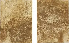 Jacek Tylicki, 11 Days in the Rushes of the River + Rain, Hoje River, S.W. Of Lund, Sweden, 1978, watercolour paper with natural deposit