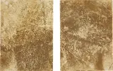 Jacek Tylicki, 11 Days in the Rushes of the River + Rain, Hoje River, S.W. Of Lund, Sweden, 1978, watercolour paper with natural deposit