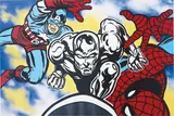 Seen, Nobody Can Stop the Silver Surfer, 2014, stencilled acrylic and spray paint on canvas