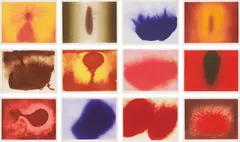 Twelve Etchings by Anish Kapoor, 2007, The complete set of 12 etchings in colours, on Somerset wove paper, with full margins, accompanied by title page and num, sold Jun 2014