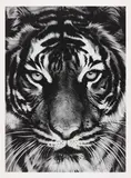 Tiger by Robert Longo, 2011, Archival pigment print, on Epson hot-pressed paper, with full margins,, sold Jun 2014