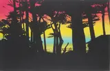 Peter Doig, Big Sur, from 100 Years Ago, 2000-01, Etching with aquatint in colours, on Hahnemühle paper, with full margins,