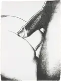 Andy Warhol, Sex Parts: one plate, 1978, Screenprint, on HMP paper, the full sheet,