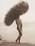 Herb Ritts, Male Nude with Tumbleweed, Paradise Cove