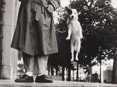Paris by Elliott Erwitt, 1989, Gelatin silver print, flush-mounted, printed later, offered May 2014