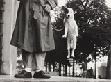 Paris by Elliott Erwitt, 1989, Gelatin silver print, flush-mounted, printed later, offered May 2014