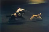 Rodeo, Madison Square Garden, NYC by Ernst Haas, 1957, Dye transfer print, mounted, printed circa 1980, sold May 2014