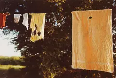 Untitled (Laundry Line) by William Eggleston, 1970s, Chromogenic print, sold May 2014