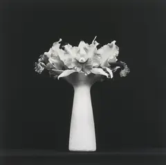 Orchid by Robert Mapplethorpe, 1983, Gelatin silver print, offered May 2014