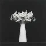 Orchid by Robert Mapplethorpe, 1983, Gelatin silver print, offered May 2014