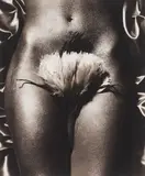 Albert Watson, 16th Century Aztec Fan, 1990, Toned gelatin silver print