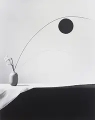 Robert Mapplethorpe, Flower, 1983, Gelatin silver print