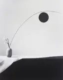 Flower by Robert Mapplethorpe, 1983, Gelatin silver print, offered May 2014