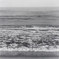 Waves by Robert Mapplethorpe, 1980, Gelatin silver print, sold May 2014
