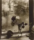 Josef Sudek, The Last Roses, 1956, Gelatin silver print