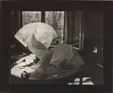 Josef Sudek, Paper Abstraction from the cycle, Paper Labyrinth, 1959, Gelatin silver print