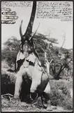 Peter Beard, Elephant reaching for the last branch on a tree, Kenya, 1960, Gelatin silver print with ink and paint, printed later