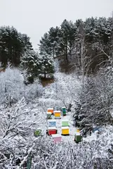 Tim Parchikov, Bee-garden, Islavskoe from Bizzarro, 2010, Digital chromogenic print, Diasec mounted