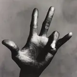 The Hand of Miles Davis (C), New York by Irving Penn, 1986, Selenium toned gelatin silver print, printed 1992, sold Nov 2014