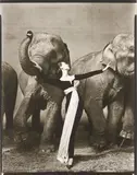 Richard Avedon, Dovima with Elephants, Evening Dress by Dior, Cirque d’Hiver, Paris, August