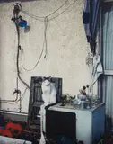 Untitled (Chiro) from Akt-Tokyo by Nobuyoshi Araki, n.d., Dye destruction print, offered Nov 2014