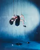 Untitled from 67 Shooting Back by Nobuyoshi Araki, n.d., Chromogenic print, sold Nov 2014
