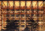 Ola Kolehmainen, Cathedral (Hommage à D.F.), 2004, Chromogenic print, Diasec mounted