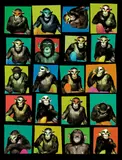 Albert Watson, Monkey with Masks, New York City, 1994, Archival pigment print, flush-mounted, printed 2014