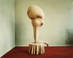 WunderFaust by Denise Grünstein, 2013, Chromogenic print, offered Nov 2014