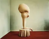 Denise Grünstein, WunderFaust, 2013, Chromogenic print