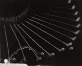 Harold Eugene Edgerton, Tumbling Tee