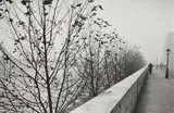 The Quais at Early Morning, Paris by André Kertész, 1929, Gelatin silver print, printed 1970s, sold Nov 2014