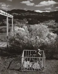 Untitled from New Mexico by W. Eugene Smith, 1947, Gelatin silver print, sold Nov 2014