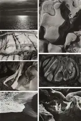 Edward Weston, Selected Images, 1929-1946, Seven gelatin silver prints from The Photographs of Edward Weston , printed circa 1953 by Brett Weston