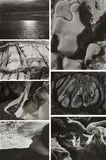 Selected Images by Edward Weston, 1929-1946, Seven gelatin silver prints from The Photographs of Edward Weston , printed circa 1953 by Brett Weston, sold Nov 2014