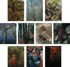 Eliot Porter, Intimate Landscapes, New York: Daniel Wolf Press, 1979. Ten dye transfer prints