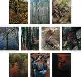 Eliot Porter, Intimate Landscapes, New York: Daniel Wolf Press, 1979. Ten dye transfer prints