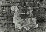Aaron Siskind, Untitled