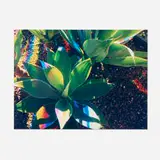 James Welling, H-1