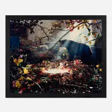 Gregory Crewdson, Untitled (bear with pool of milk), 1998, C-print mounted to Dibond in artist's frame