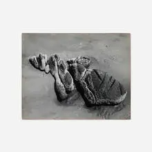 Untitled by Aaron Siskind, 1945, gelatin silver print, sold Dec 2024