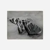 Aaron Siskind, Untitled