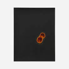 Marco Breuer, Untitled (Gun/Day), 1999, burned gelatin silver print