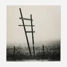Jill Mathis, Winter Pasture, C-print