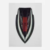 Willie Cole, Satisfaction Guaranteed (from the Irons series), 2002, iris print