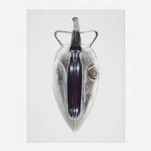 Willie Cole, Quick as a Wink (from the Irons series), 2002, iris print