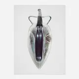 Willie Cole, Quick as a Wink (from the Irons series), 2002, iris print