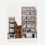Doris Salcedo, Istanbul Project I, 2003, Piezo-pigment print