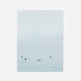 Catherine Opie, Surfers