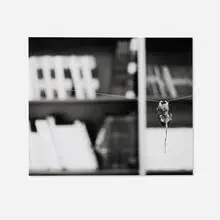 This Way I Can't Fight by Louise Lawler, 2002, gelatin silver print, sold Dec 2024